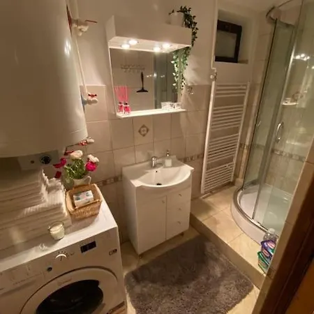 Malovana Drevenicka V Cicmanoch * Čičmany